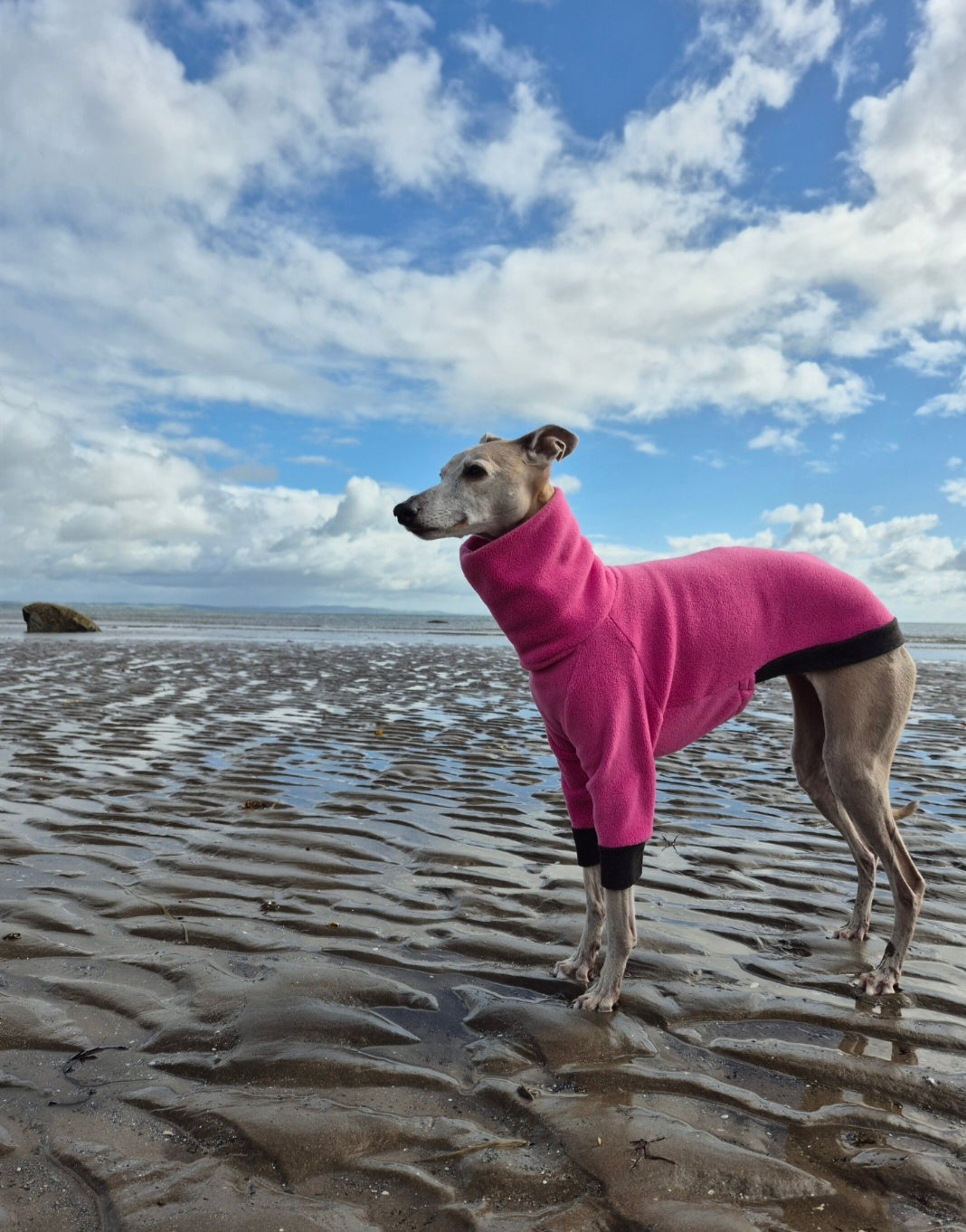 Warm Wear                        Coast Collection