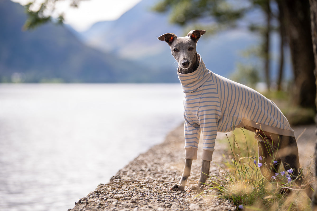 Slip Wear Stripes Collection