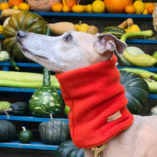 Warm Wear Snood            Forest Collection