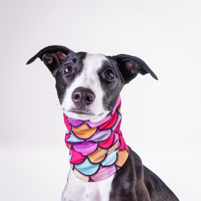 Slip Wear Snood                       Abstract Collection