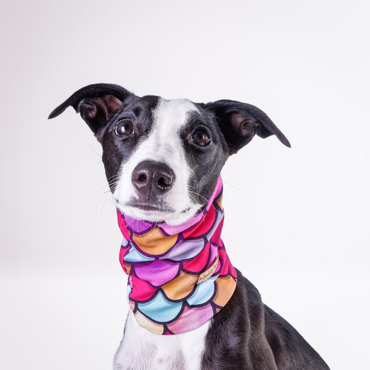 Slip Wear Snood                       Abstract Collection