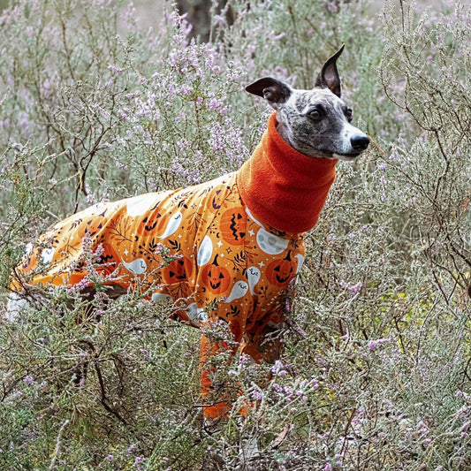 Not Too Scary Halloween      Duo Jumpsuit