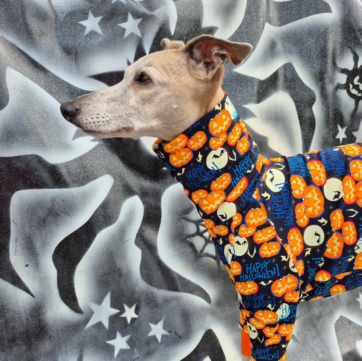 Not Too Scary Halloween      Duo Jumpsuit