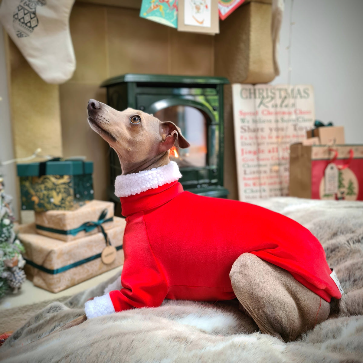 Santa Red Duo Jumpsuit