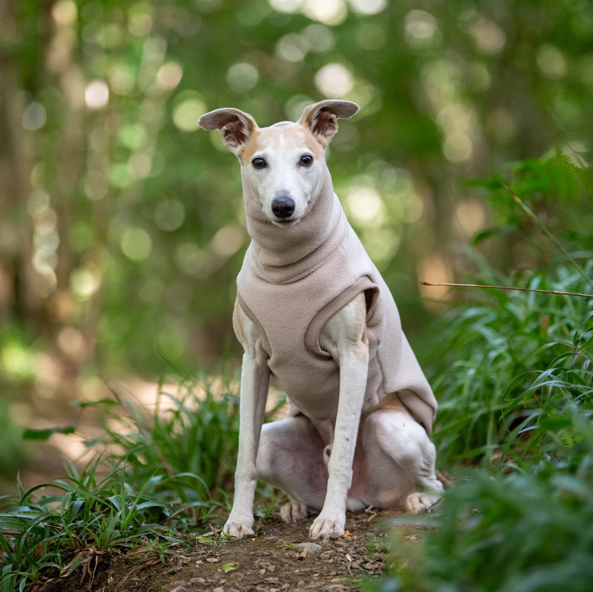 The Edit     Silver Birch Warm Wear Jumper