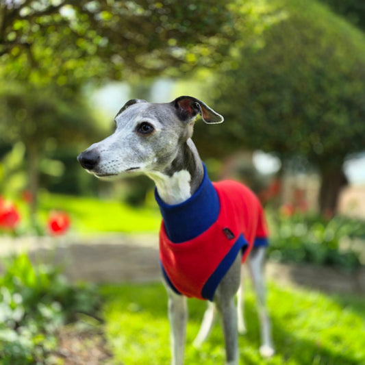 The Daisy Limited Edition          Jumper