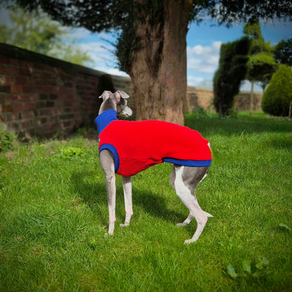The Daisy Limited Edition          Jumper