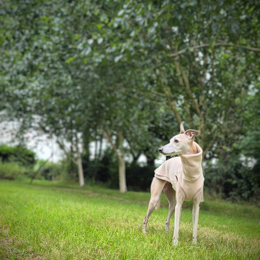 The Edit     Silver Birch Warm Wear Jumper