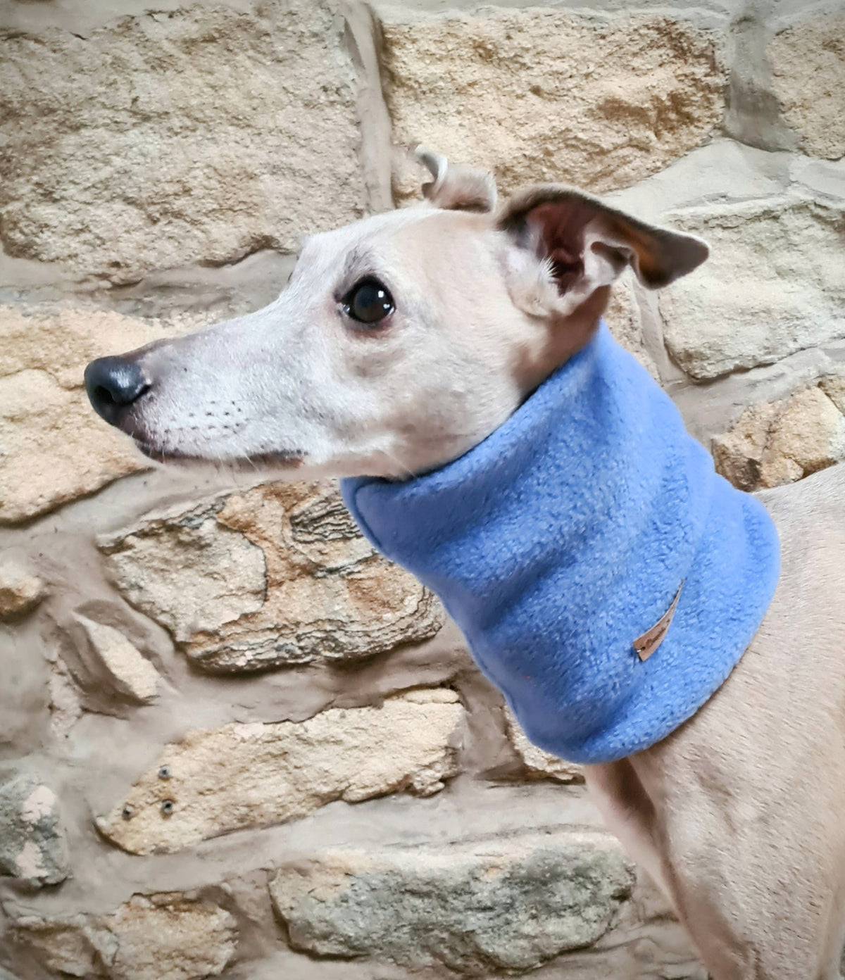 The Edit     Silver Birch Warm Wear Jumper