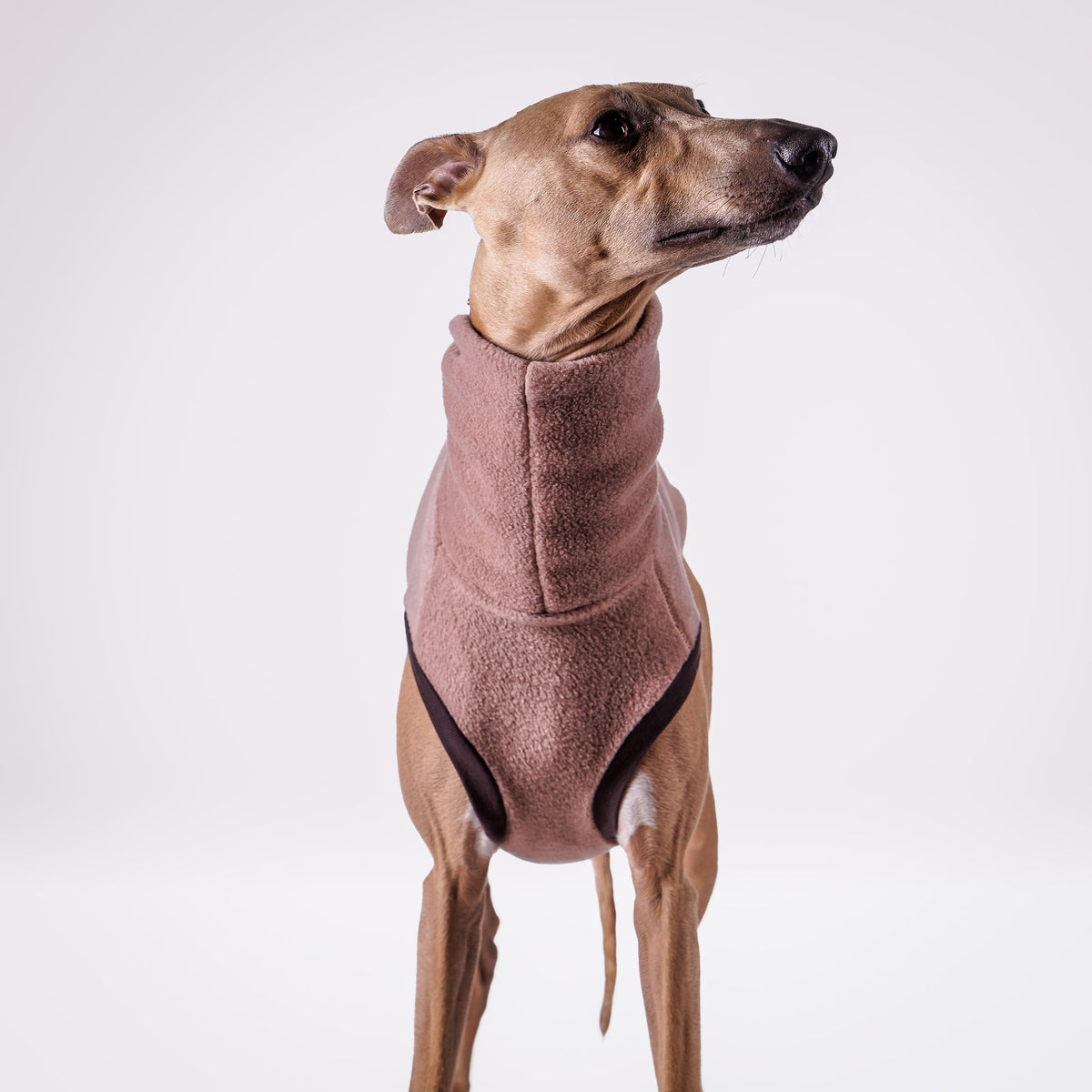 Warm Wear Jumper                 Fell Collection