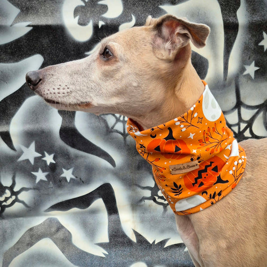 Not too Scary Halloween Snood         Halloween