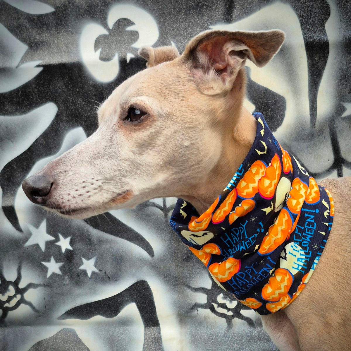 Not too Scary Halloween Snood         Halloween