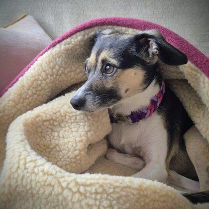 Pitta Blanket