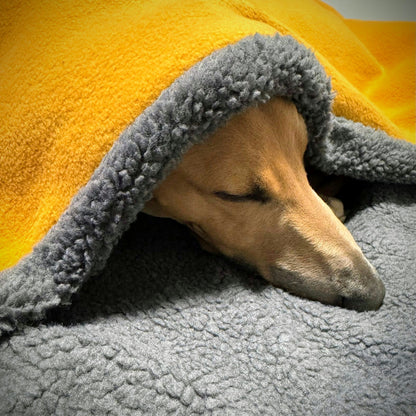 Pitta Blanket
