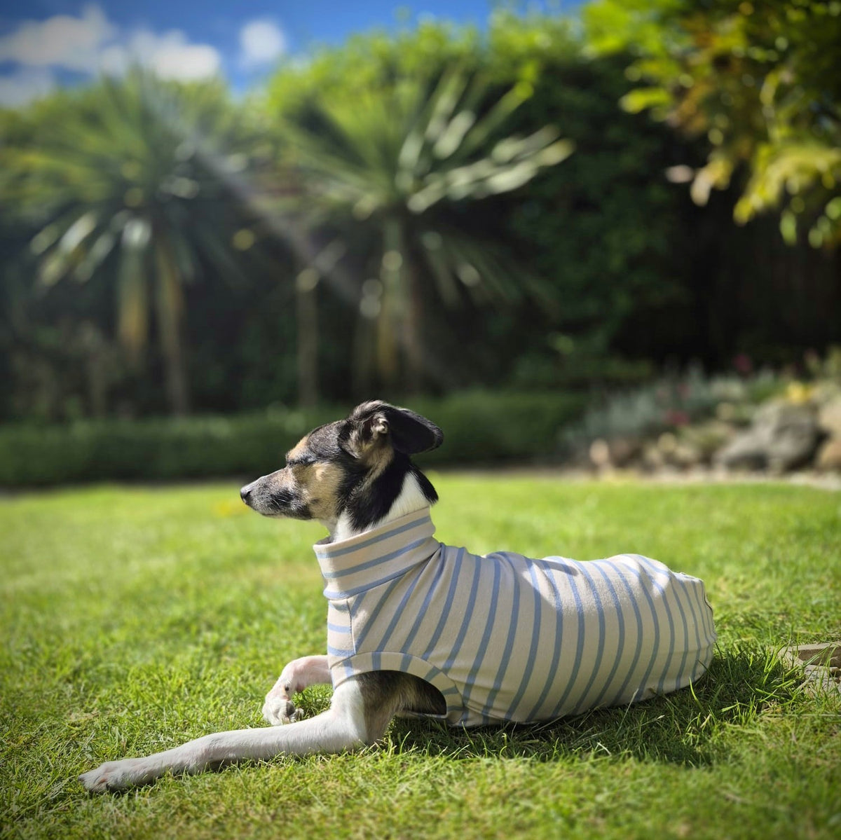 Slip Wear T-shirt                        Stripes Collection
