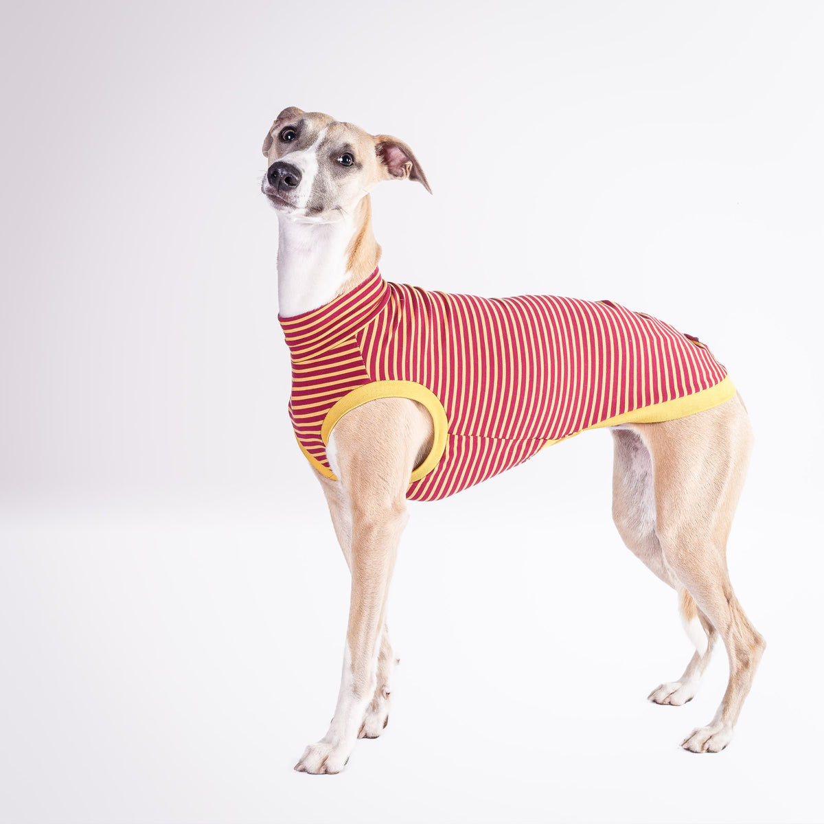 Slip Wear T-shirt                        Stripes Collection