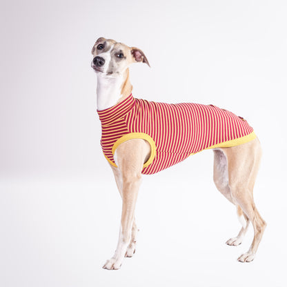 Slip Wear T-shirt                        Stripes Collection