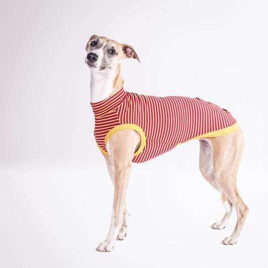 The Edit      Burgundy and Mustard Slip Wear T shirt