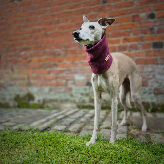 Warm Wear Snood         County Collection