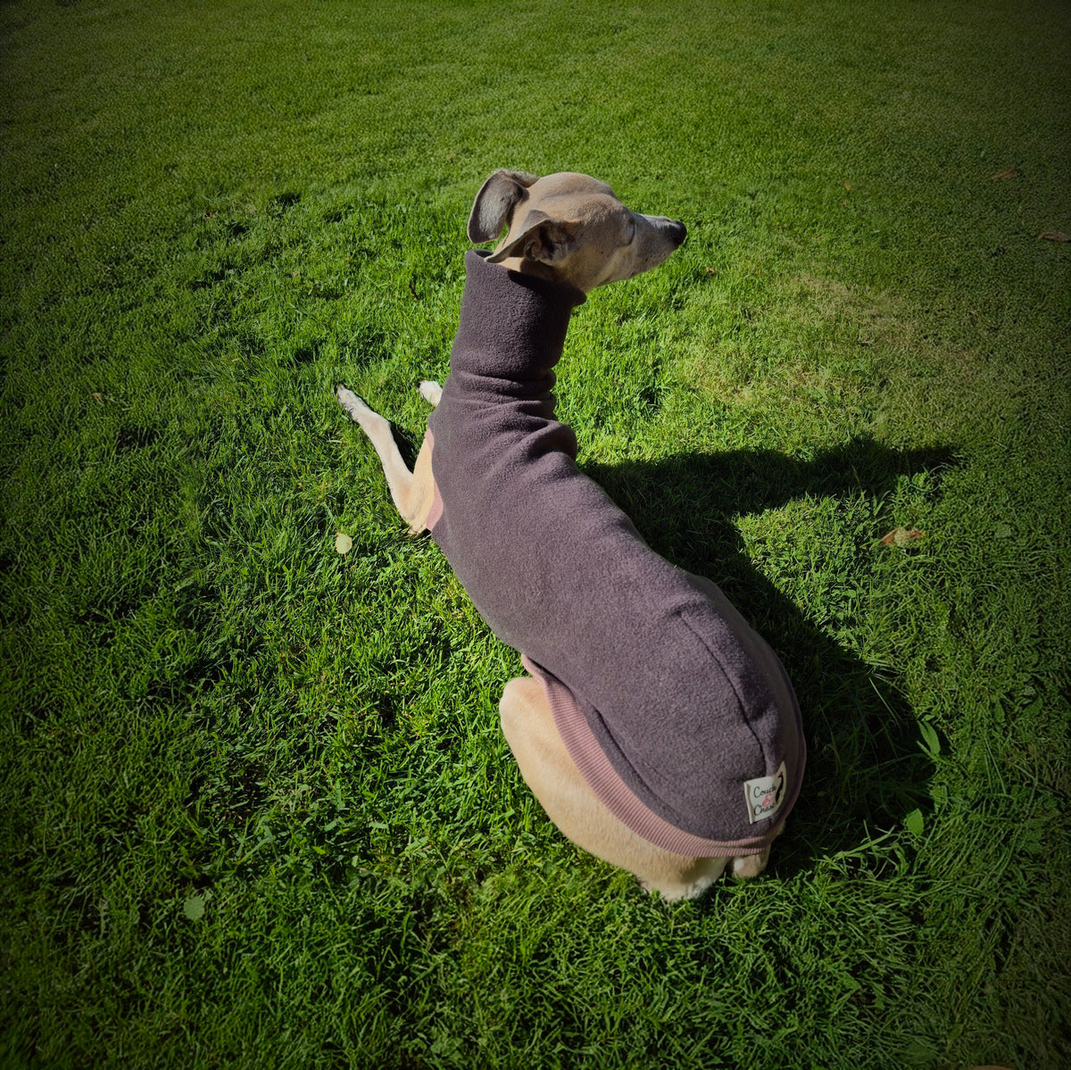 Warm Wear Jumper                             County Collection