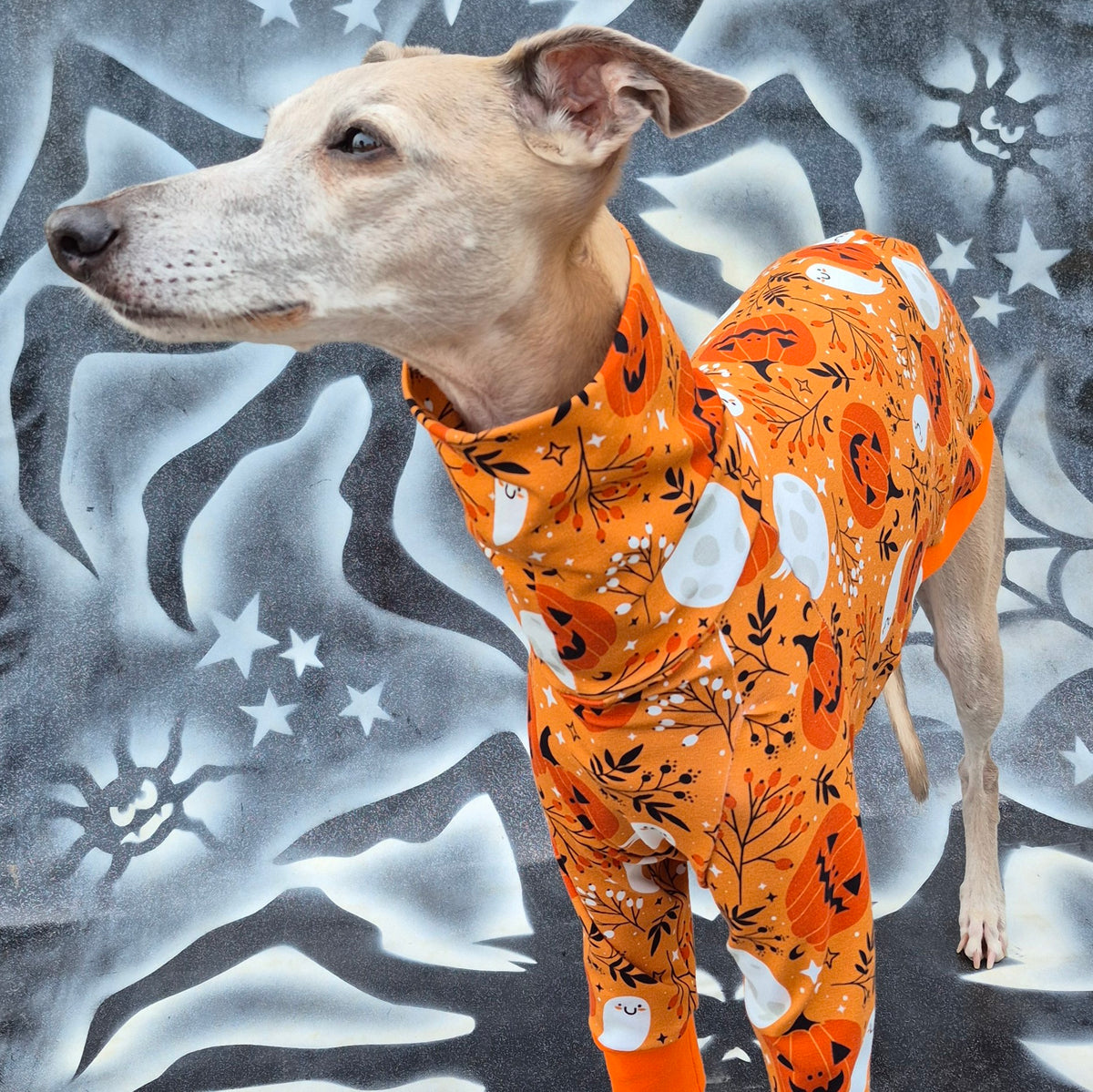 Not Too Scary Halloween      Duo Jumpsuit
