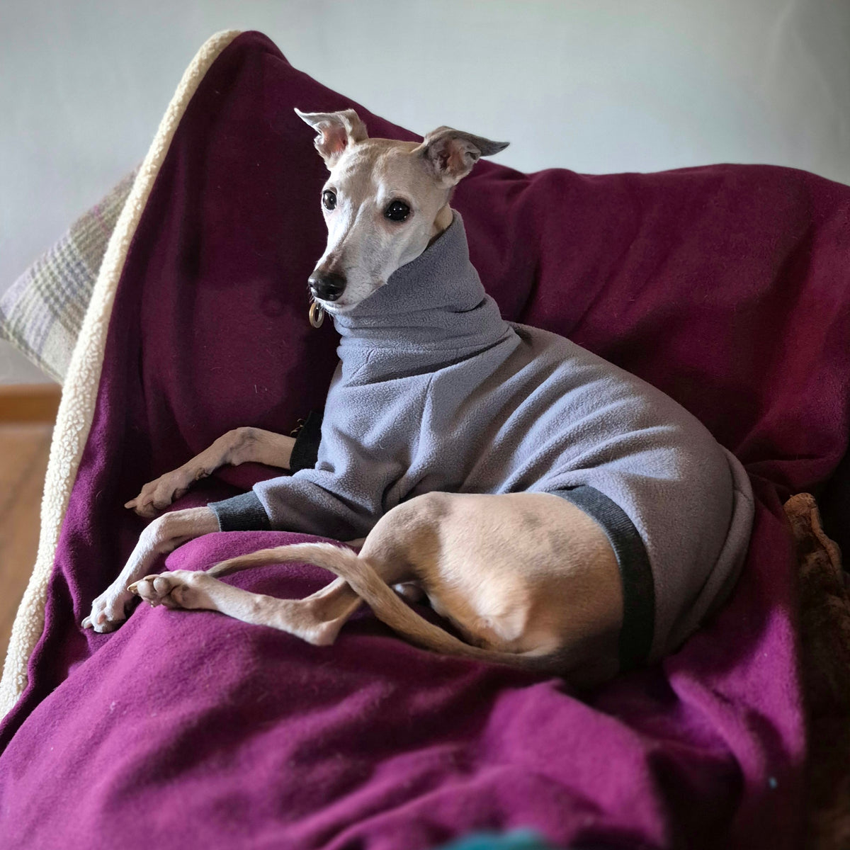 Pitta Blanket