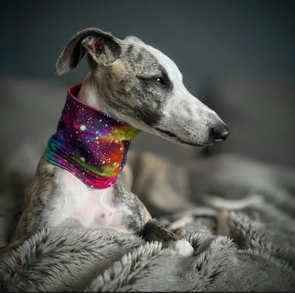 Slip Wear Snood                       Abstract Collection
