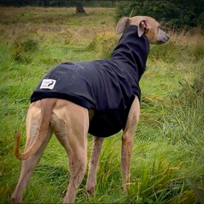 The Hybrid Jumper