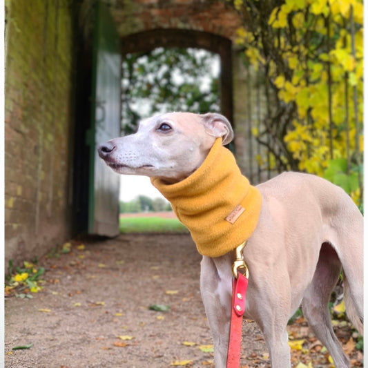 The Edit   Sulphur Polar Fleece Snood
