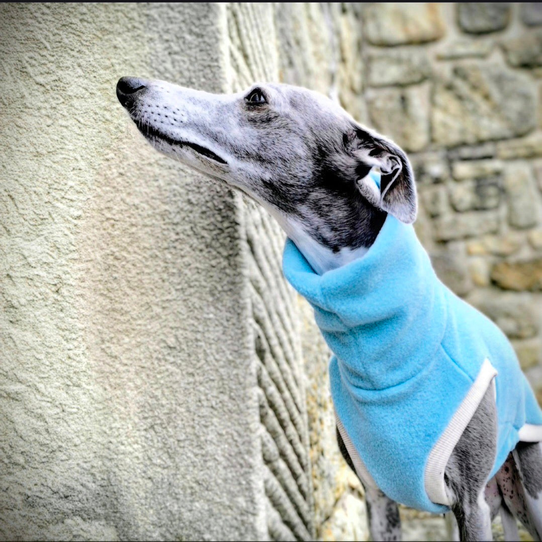 Sea Glass Limited Edition          Jumper