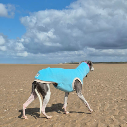 Sea Glass Limited Edition          Jumper
