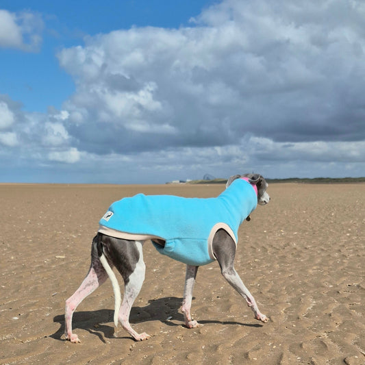 Sea Glass Limited Edition          Jumper
