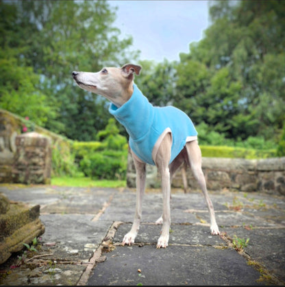 Sea Glass Limited Edition          Jumper